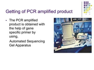 Getting of PCR amplified product
 The PCR amplified
product is obtained with
the help of gene
specific primer by
using,
Automated Sequencing
Gel Apparatus
 