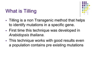 What is Tilling
 Tilling is a non Transgenic method that helps
to identify mutations in a specific gene.
 First time this technique was developed in
Arabidopsis thaliana.
 This technique works with good results even
a population contains pre existing mutations
 