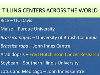 TILLING CENTERS ACROSS THE WORLD
 