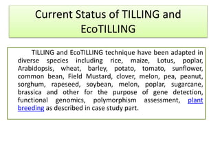 TILLING and EcoTILLING technique have been adapted in
diverse species including rice, maize, Lotus, poplar,
Arabidopsis, wheat, barley, potato, tomato, sunflower,
common bean, Field Mustard, clover, melon, pea, peanut,
sorghum, rapeseed, soybean, melon, poplar, sugarcane,
brassica and other for the purpose of gene detection,
functional genomics, polymorphism assessment, plant
breeding as described in case study part.
Current Status of TILLING and
EcoTILLING
 