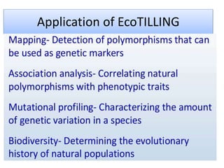 Application of EcoTILLING
 