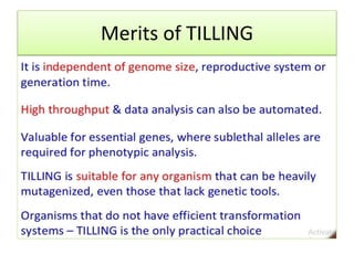 Merits of TILLING
 