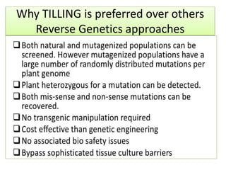 Why TILLING is preferred over others
Reverse Genetics approaches
 