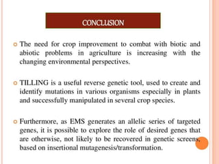TILLING AND ECOTILLING.pptx