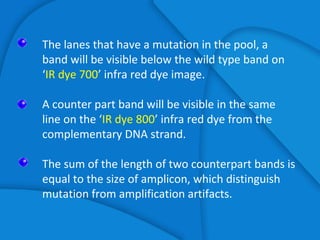 The lanes that have a mutation in the pool, a
band will be visible below the wild type band on
‘IR dye 700’ infra red dye image.
A counter part band will be visible in the same
line on the ‘IR dye 800’ infra red dye from the
complementary DNA strand.
The sum of the length of two counterpart bands is
equal to the size of amplicon, which distinguish
mutation from amplification artifacts.
 