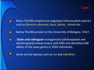 Many TILLING projects are ongoing in diverse plant species
such as Brassica oleracea, lotus, barley , wheat etc.
Barley TILLING project at the University of Bologna- ITALY.
Slade and colleagues mutagenized (allohexaploid and
allotetraploid) wheat strains with EMS and identified 246
alleles of the waxy genes in 1920 individuals.
Some animal species such as rat and zebrafish.
Cont.
 