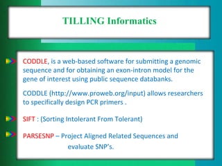 TILLING Informatics
CODDLE, is a web-based software for submitting a genomic
sequence and for obtaining an exon-intron model for the
gene of interest using public sequence databanks.
CODDLE (http://www.proweb.org/input) allows researchers
to specifically design PCR primers .
SIFT : (Sorting Intolerant From Tolerant)
PARSESNP – Project Aligned Related Sequences and
evaluate SNP’s.
 