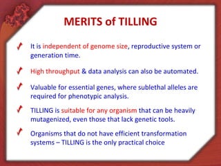 MERITS of TILLING
It is independent of genome size, reproductive system or
generation time.
High throughput & data analysis can also be automated.
Valuable for essential genes, where sublethal alleles are
required for phenotypic analysis.
TILLING is suitable for any organism that can be heavily
mutagenized, even those that lack genetic tools.
Organisms that do not have efficient transformation
systems – TILLING is the only practical choice
 