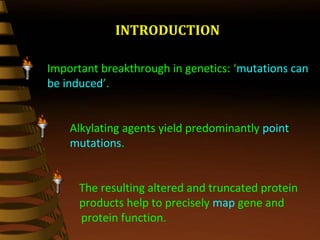 Important breakthrough in genetics: ‘mutations can
be induced’.
Alkylating agents yield predominantly point
mutations.
The resulting altered and truncated protein
products help to precisely map gene and
protein function.
INTRODUCTION
 