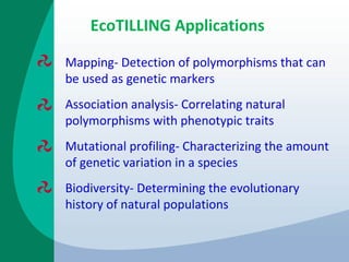 EcoTILLING Applications
Mapping- Detection of polymorphisms that can
be used as genetic markers
Association analysis- Correlating natural
polymorphisms with phenotypic traits
Mutational profiling- Characterizing the amount
of genetic variation in a species
Biodiversity- Determining the evolutionary
history of natural populations
 
