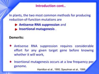 In plants, the two most common methods for producing
reduction-of-function mutations are
Antisense RNA suppression and
Insertional mutagenesis .
Demerits:
Antisense RNA suppression requires considerable
effort for any given target gene before knowing
whether it will work,
Insertional mutagenesis occurs at a low frequency per
genome.
Hamilton et al., 1995; Speulman et al., 1999
Introduction cont..
 