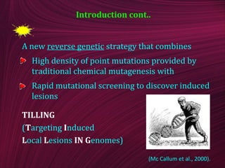 A new reverse genetic strategy that combines
High density of point mutations provided by
traditional chemical mutagenesis with
Rapid mutational screening to discover induced
lesions
TILLING
(Targeting Induced
Local Lesions IN Genomes)
(Mc Callum et al., 2000).
Introduction cont..
 