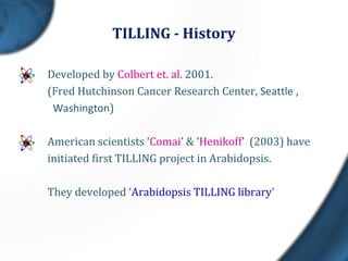 TILLING - History
Developed by Colbert et. al. 2001.
(Fred Hutchinson Cancer Research Center, Seattle ,
Washington)
American scientists ‘Comai’ & ‘Henikoff’ (2003) have
initiated first TILLING project in Arabidopsis.
They developed ‘Arabidopsis TILLING library’
 