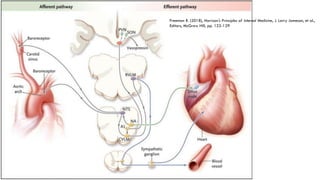 Freeman R. (2018), Harrison's Principles of Internal Medicine, J. Larry Jameson, et al.,
Editors, McGraw Hill, pp. 122-129
 