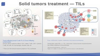Tumor-infiltrating lymph E cells TlL S (Tumor Infltrating
Lymphocytes)
Immune cells for antitumor effects: CD4 + helper T cells, CD8 + cytotoxic
T cells, NK cells, M1 macrophages, dendritic cells, etc
* There are 540 clinical research projects in TILs worldwide
F o u r d i ff e r e n t t u m o r - i m m u n e m i c r o e n v i r o n m e n t s
Among them: type2 PDL 1 + / TIL + (Hot tumor *) tumor immune microenvironment
has a better response to immunotherapy
Data source ClinicalTrials.gov .～2023.10.10
Paijens , S.T., Vledder , A., de Bruyn , M.et al .Cell Mol Immunol 18, 842–859 (2021).
Solid tumors treatment — TILs
 