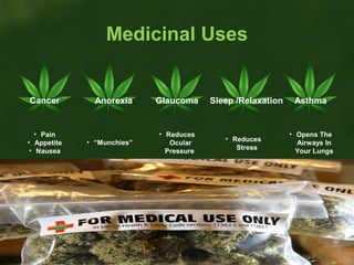 Medicinal Uses

Cancer

• Pain
• Appetite
• Nausea

Anorexia

• “Munchies”

Glaucoma

• Reduces
Ocular
Pressure

Sleep /Relaxation

• Reduces
Stress

Asthma

• Opens The
Airways In
Your Lungs

 