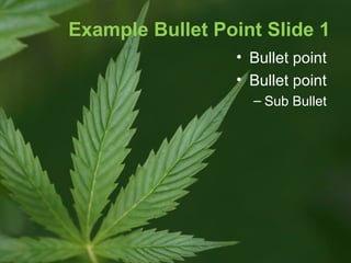 Example Bullet Point Slide 1
• Bullet point
• Bullet point
– Sub Bullet

 