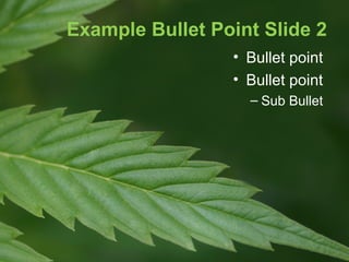 Example Bullet Point Slide 2
• Bullet point
• Bullet point
– Sub Bullet

 