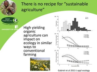 There is no recipe for “sustainable
agriculture”


 High yielding
 organic
 agriculture can
 impact on
 ecology in similar
 ways to
 conventional
 farming


                      Gabriel et al 2013 J appl ecology
 