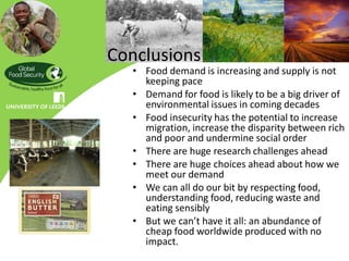 Conclusions
  • Food demand is increasing and supply is not
    keeping pace
  • Demand for food is likely to be a big driver of
    environmental issues in coming decades
  • Food insecurity has the potential to increase
    migration, increase the disparity between rich
    and poor and undermine social order
  • There are huge research challenges ahead
  • There are huge choices ahead about how we
    meet our demand
  • We can all do our bit by respecting food,
    understanding food, reducing waste and
    eating sensibly
  • But we can’t have it all: an abundance of
    cheap food worldwide produced with no
    impact.
 