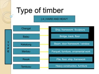 Timber | PPTX