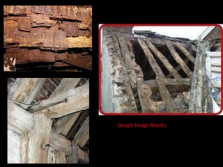 Google Image Results

 