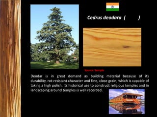 Cedrus deodara (

)

Source: Sample

Deodar is in great demand as building material because of its
durability, rot-resistant character and fine, close grain, which is capable of
taking a high polish. Its historical use to construct religious temples and in
landscaping around temples is well recorded.

 