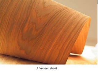 A Veneer sheet
 