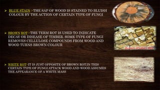 Timber+ basic civil engineering | PPTX