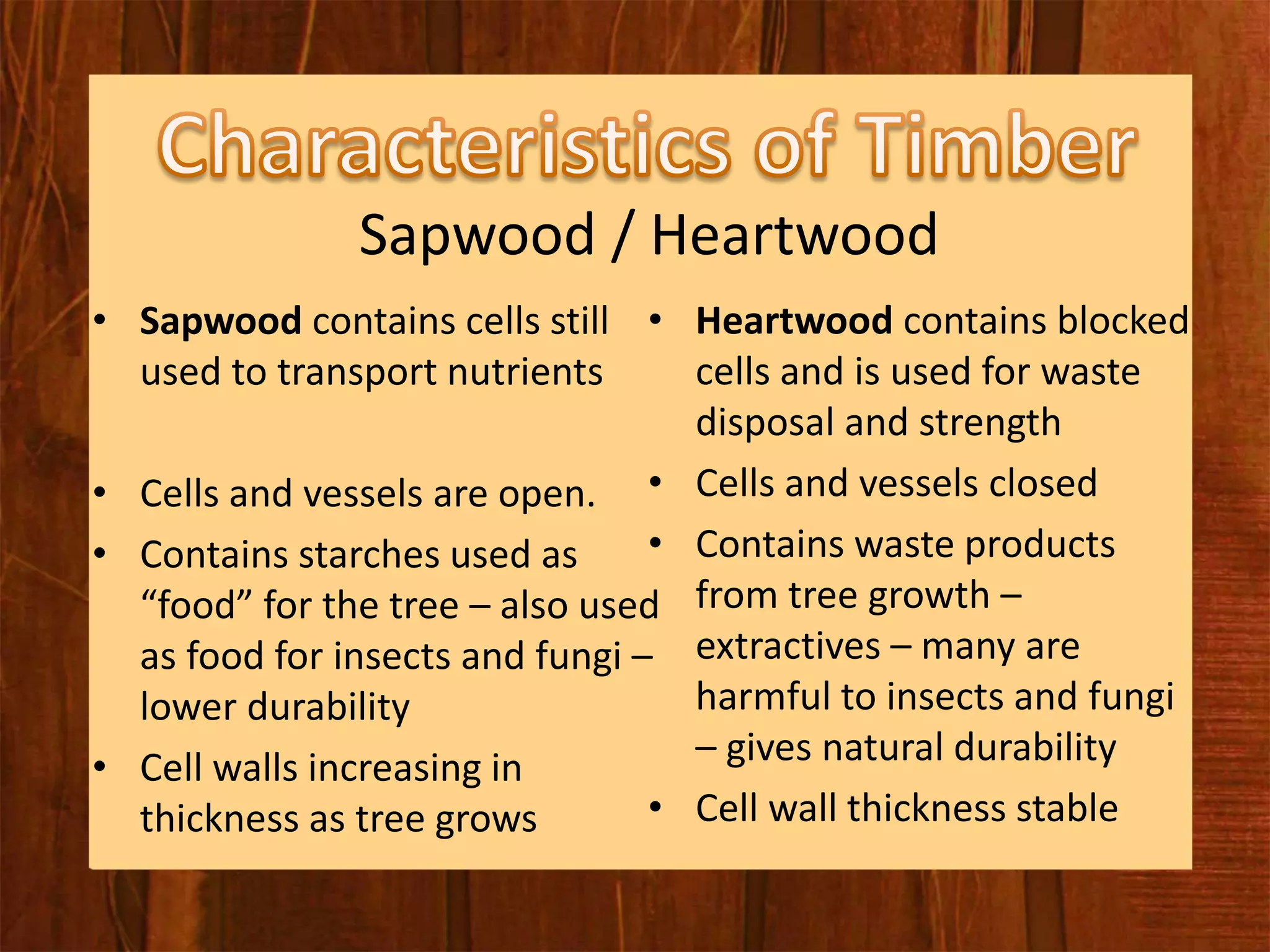 Timber | PPT