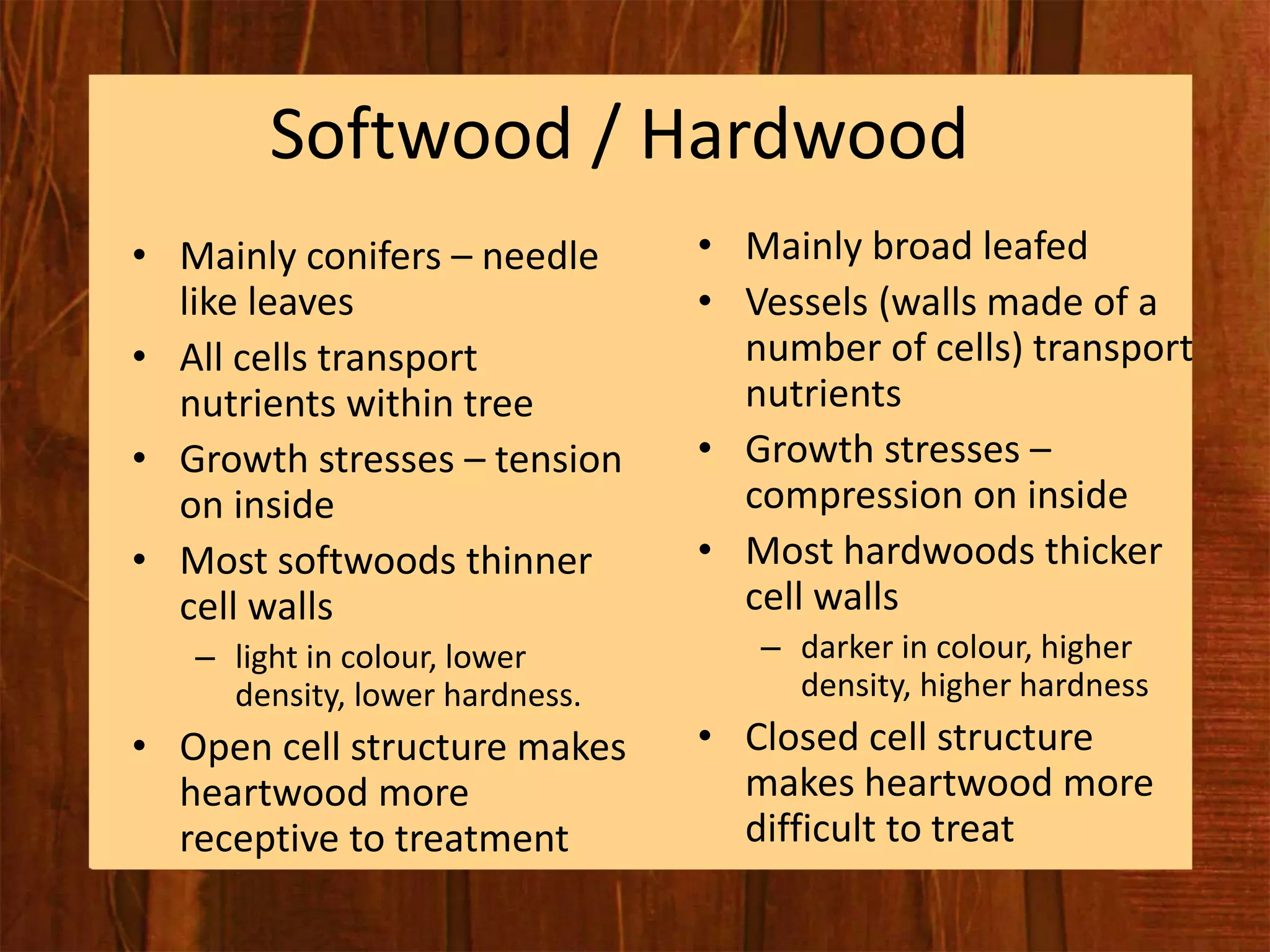 Timber | PPT