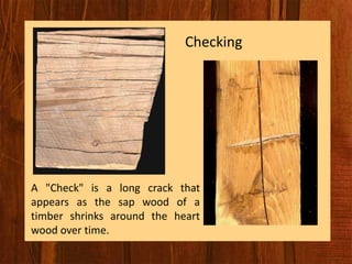 Checking In Timber Timber | PDF