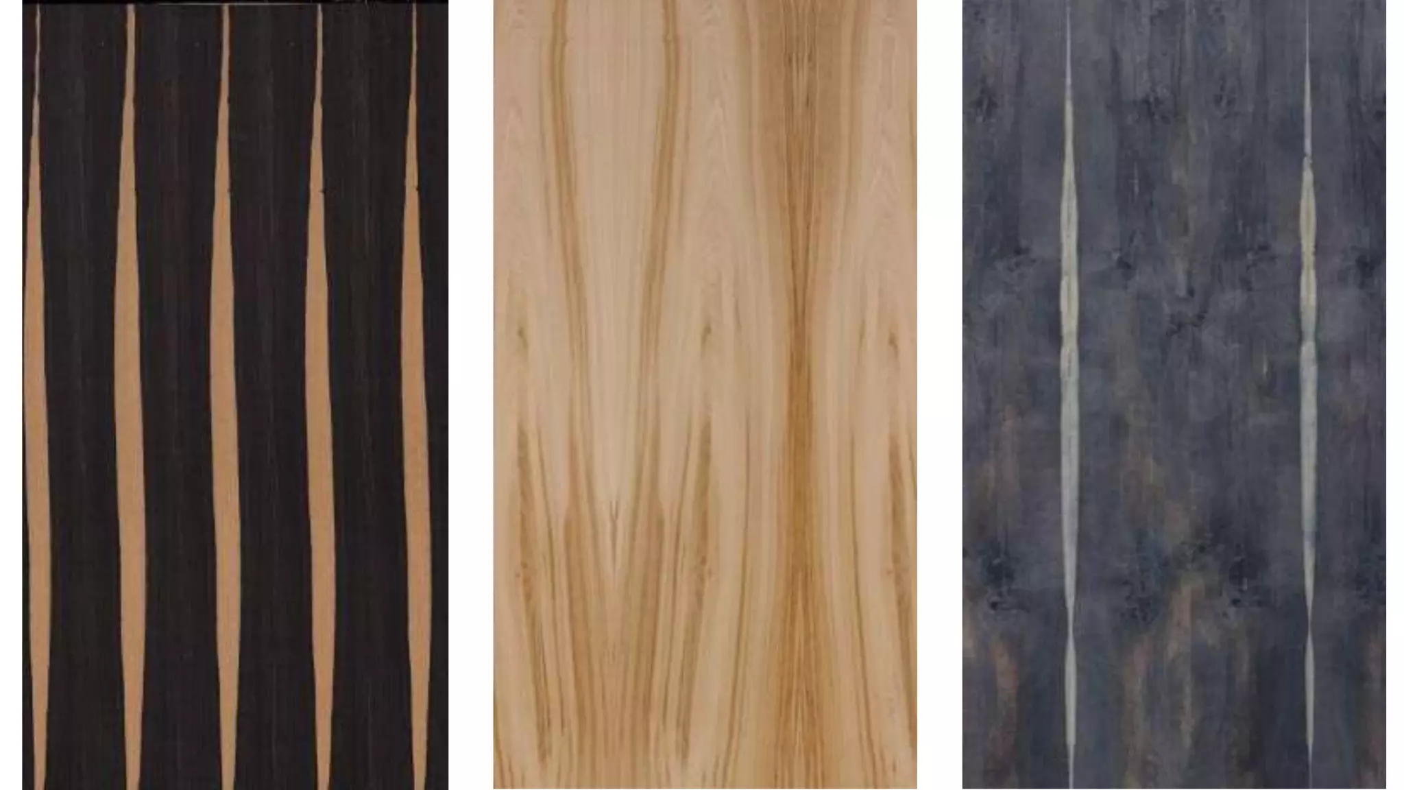 Timber- Building material | PPTX