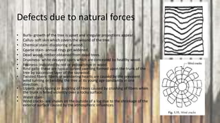 Defects due to natural forces
• Burls- growth of the tree is upset and irregular projections appear.
• Callus- soft skin which covers the wound of the tree.
• Chemical stain- discoloring of wood.
• Coarse stain- annual rings get widened.
• Dead wood- timber obtained from dead trees.
• Druxiness- white decayed spots which are concealed by healthy wood.
• Foxiness- indicated by red or yellow tinge in wood.
• Rind galls- these are typical curved swelling formed upon the trunk of the
tree by successive layer of the sapwood.
• Twisted fibers- fibers or wandering hearts are caused by the prevalent
wind turning or twisting the tree at its young age constantly in one
direction.
• Upsets- are clipping or buckling of fibers caused by crushing of fibers when
the trunk is felled violently over a rocky surface.
• Water stain-
• Wind cracks- are shakes on the outside of a log due to the shrinkage of the
exterior surface caused by the atmospheric influences.
 