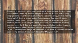 • The timber is suitable for all forms of heavy construction, railway sleepers, heavy
duty furniture, laboratory benches, bridges, marine construction, boat building,
telegraphic and power transmission posts and cross arms, piling, mallets, flooring
(heavy traffic), decking, vehicle bodies (framework and floor boards), fender
supports, cooling towers (structural members), staircase (balusters, carriages,
handrails, newels, risers, stringers, treads, bullnoses, round ends and winders),
columns (heavy duty), door and window frames and sills, tool handles (impact),
carving works and other uses where strength and durability are required.
• On the Malay Peninsula Chengal has been used as the wood of choice for house and
boatbuilding. It is sometimes referred to as the "Malaysian Teak".
 