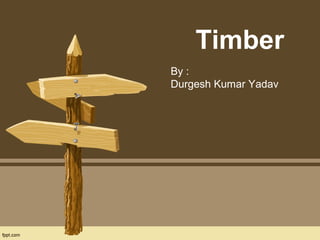 Timber
By :
Durgesh Kumar Yadav
 