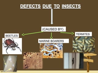 timber characteristics and defects | PPT