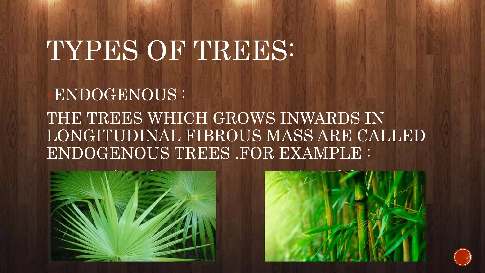 TYPES OF TREES:
ENDOGENOUS :
THE TREES WHICH GROWS INWARDS IN
LONGITUDINAL FIBROUS MASS ARE CALLED
ENDOGENOUS TREES .FOR EXAMPLE :
PALMS BAMBOO
 