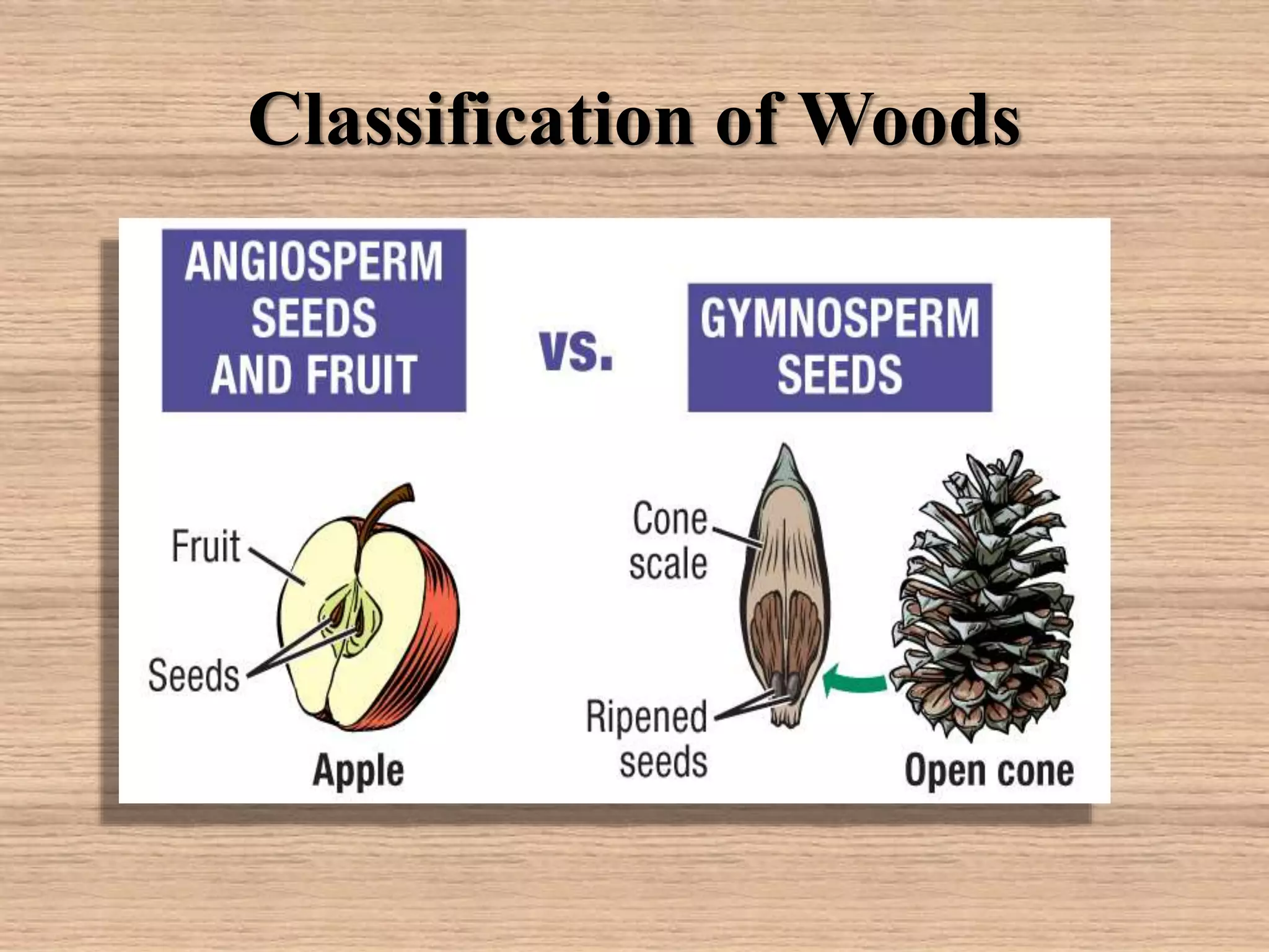 Classification of Woods
 