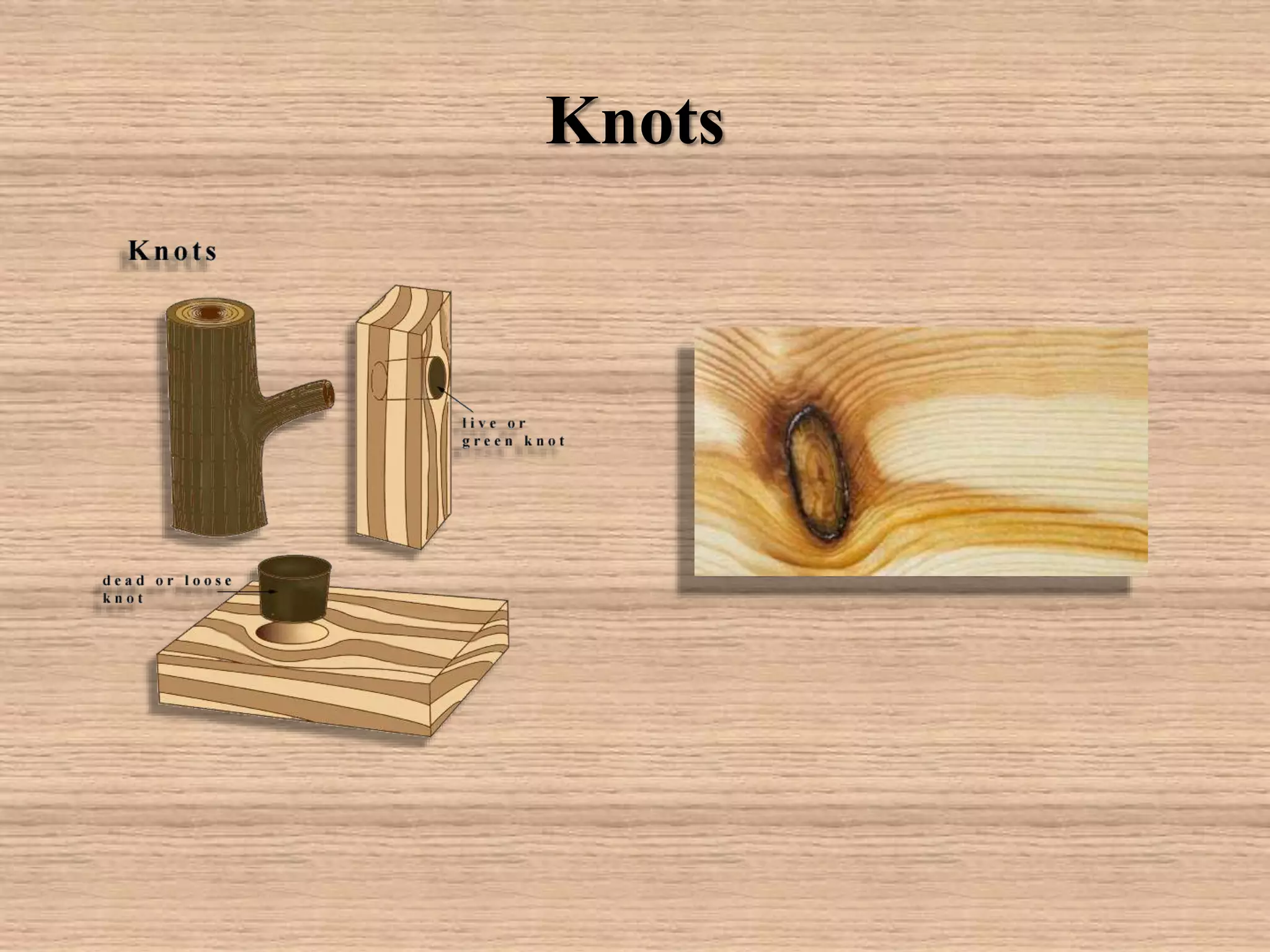 Knots
 