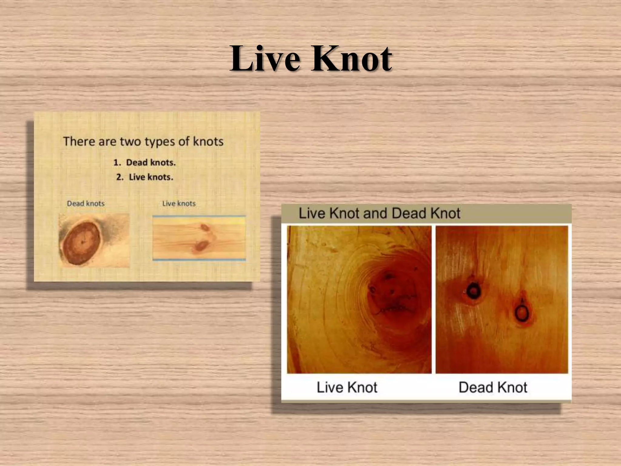 Live Knot
 