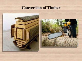 Timber-II | PPTX