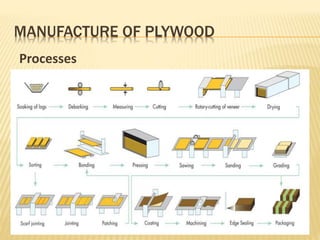 MANUFACTURE OF PLYWOOD
Processes
 