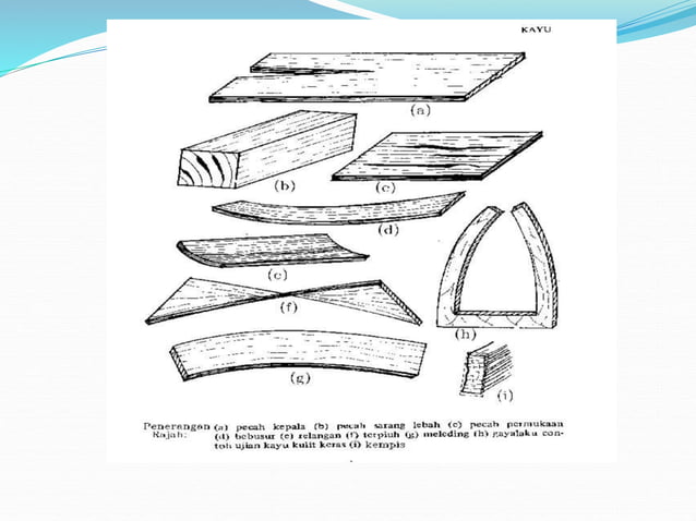 TIMBER.ppt | Woodworking | Arts and Crafts