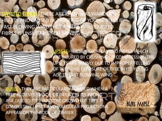 Timber Body TIMBER DETAILS, Varity, Categories, .pptx