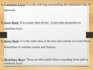 4. Cambium Layer: It is the soft ring surrounding the outermost ring of
sapwood
5. Inner Bark: It is a inner skin of tree . It provides protection to
cambium layer.
6. Outer Bark: It is the outer skin of the tree and contain of wood fibres.
Sometimes it contains cracks and fissures.
7. Medullary Rays: These are thin radial fibers extending from pith to
cambium layer
 