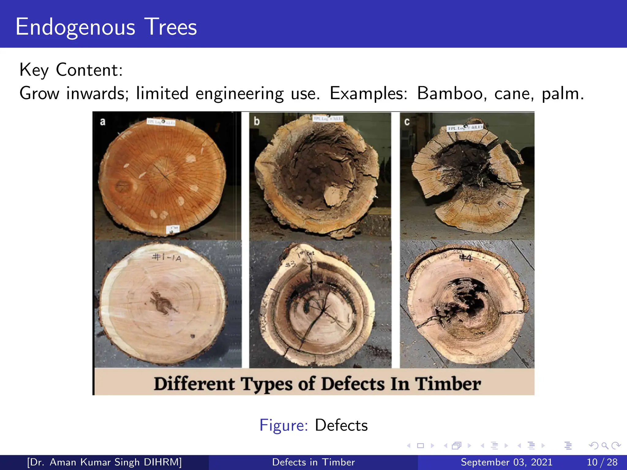 Defects in Timber Understanding Timber Properties, Classification ...