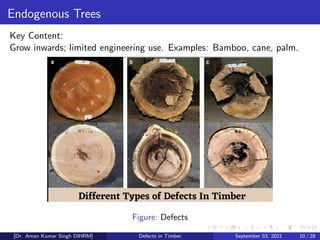 Timber Decay Examples Defects in Timber Understanding Timber Properties, Classification ...