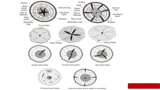Timber-as-a-Civil-Engineering-Material.pptx