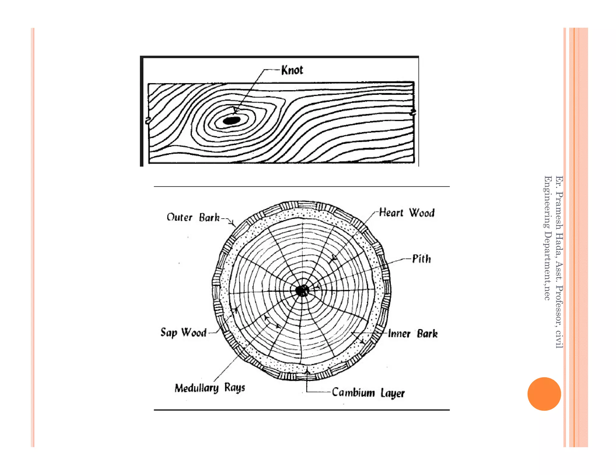Timber civil engineering material - asst. proff. pramesh hada | PDF